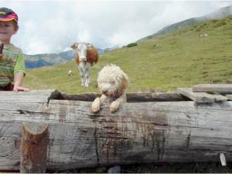 Kilian und Brida auf der Alm