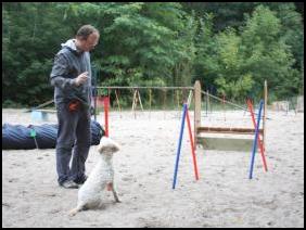 In der Hundeschule Anja Gomille