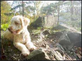 Elbsandsteingebirge Herbst 2007